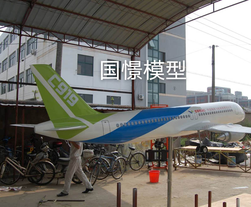 陇川县飞机模型