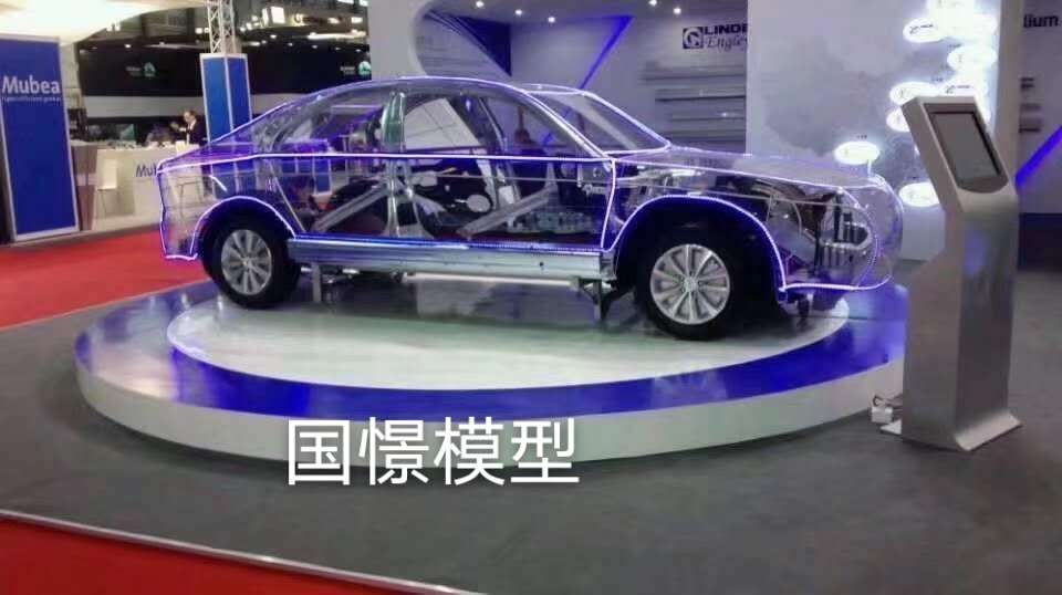 陇川县透明车模型